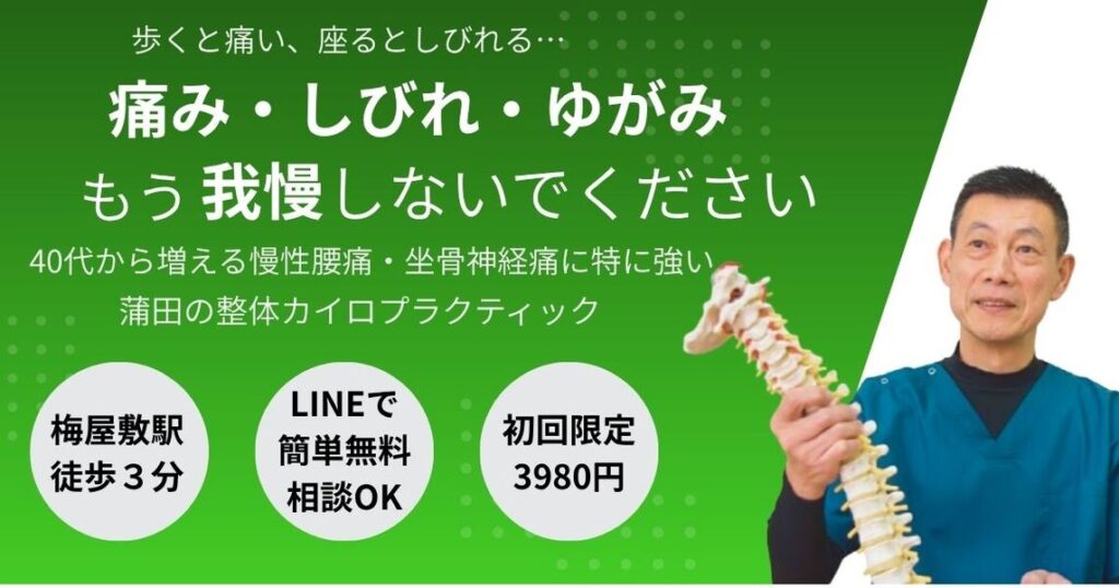 蒲田のグリーンPCTカイロプラクティック｜腰痛・しびれ・ゆがみを根本改善する整体院のメインビジュアル