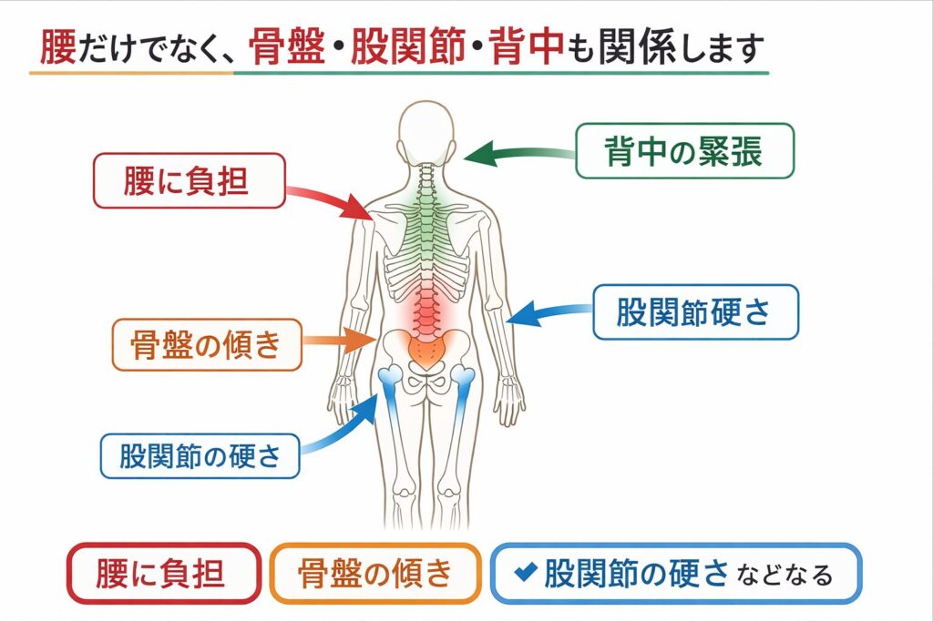不調の原因、イラストで紹介