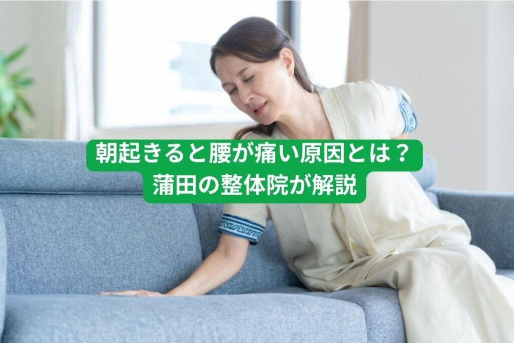 朝起きると腰が痛い原因とは蒲田の整体グリーンPCTカイロプラクティックが解説