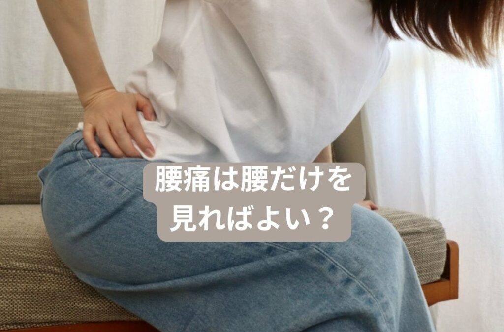 腰痛は腰だけを見ればよい？蒲田の整体グリーンPCTカイロプラクティックがお答えします。